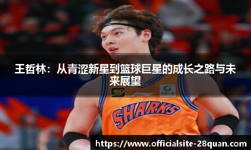 28圈娱乐