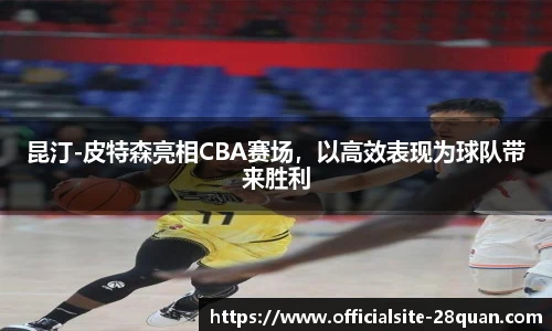 28圈游戏